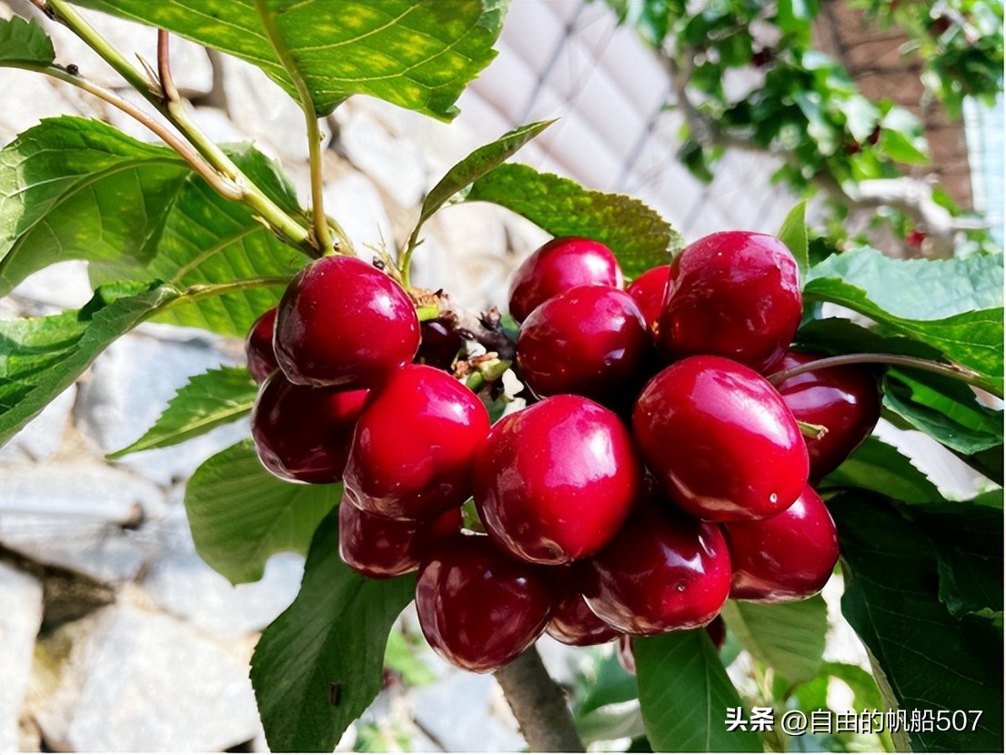 辽宁省大连市甘井子区派出所,辽宁省大连市甘井子区酒店