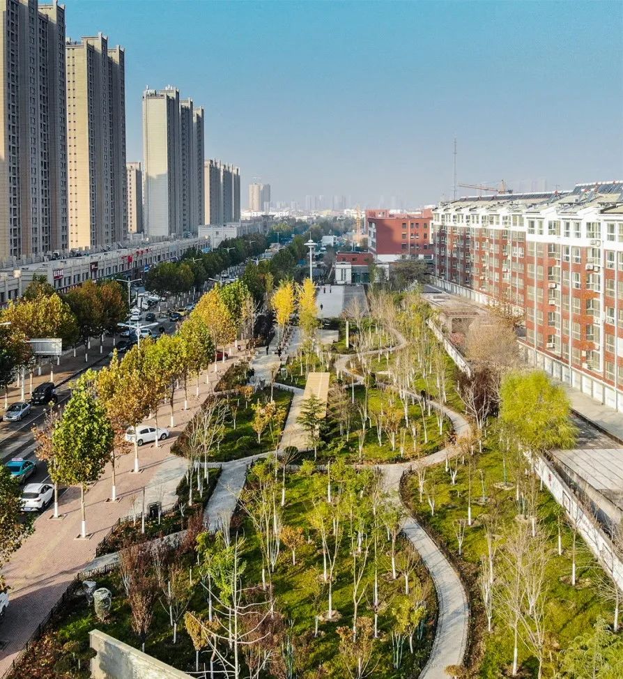 城市中的“绿细胞”：潍坊寒亭区口袋公园/同圆集团