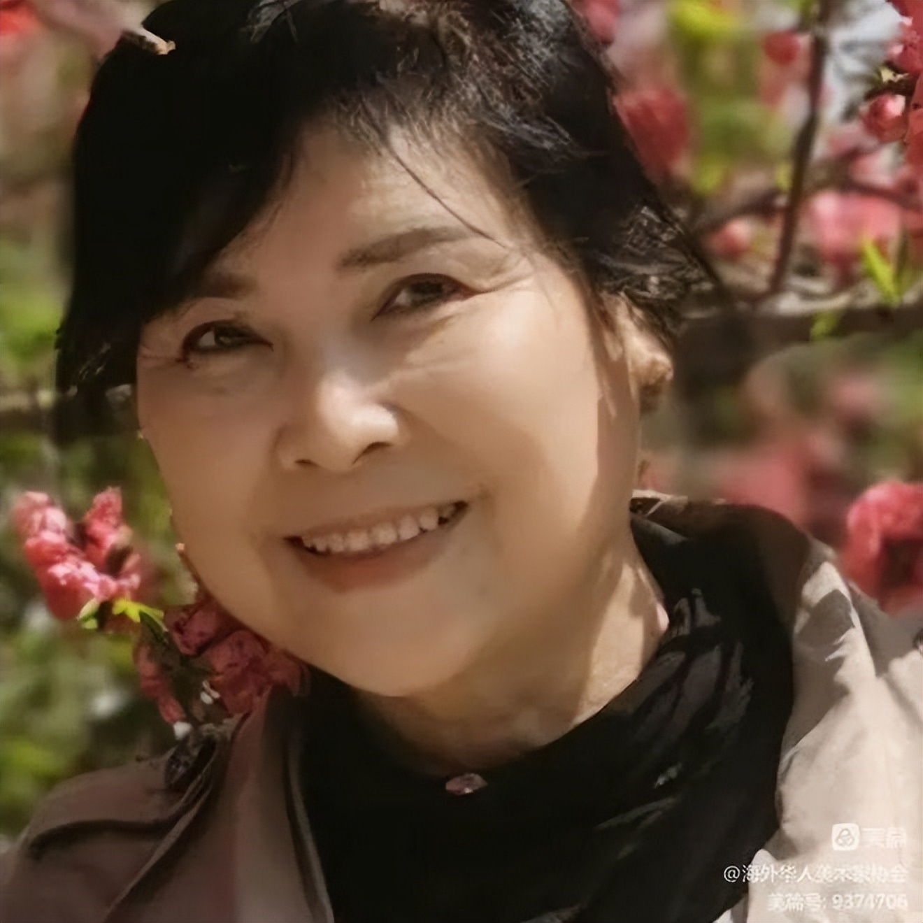 春天里画展,春天里海外