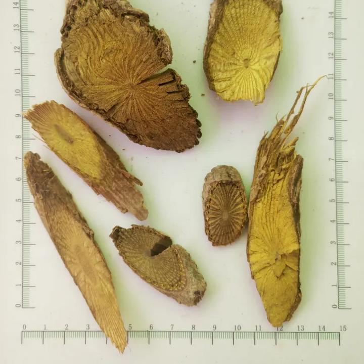 带你识别新型毒品,带你识别厚朴