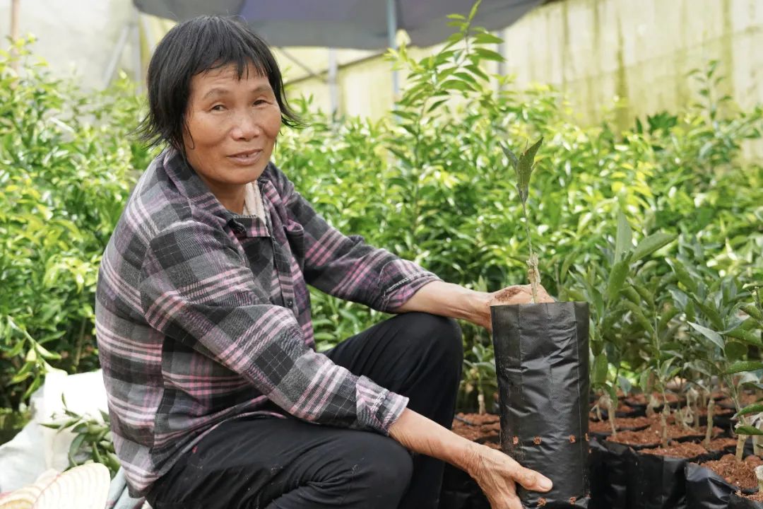 智库解析乡村振兴与三农问题,智库观察十个新走势