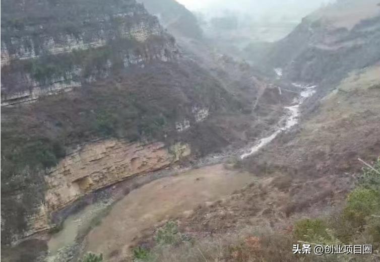 农村不起眼的项目三年赚55万,农村不起眼的项目三年赚五十万