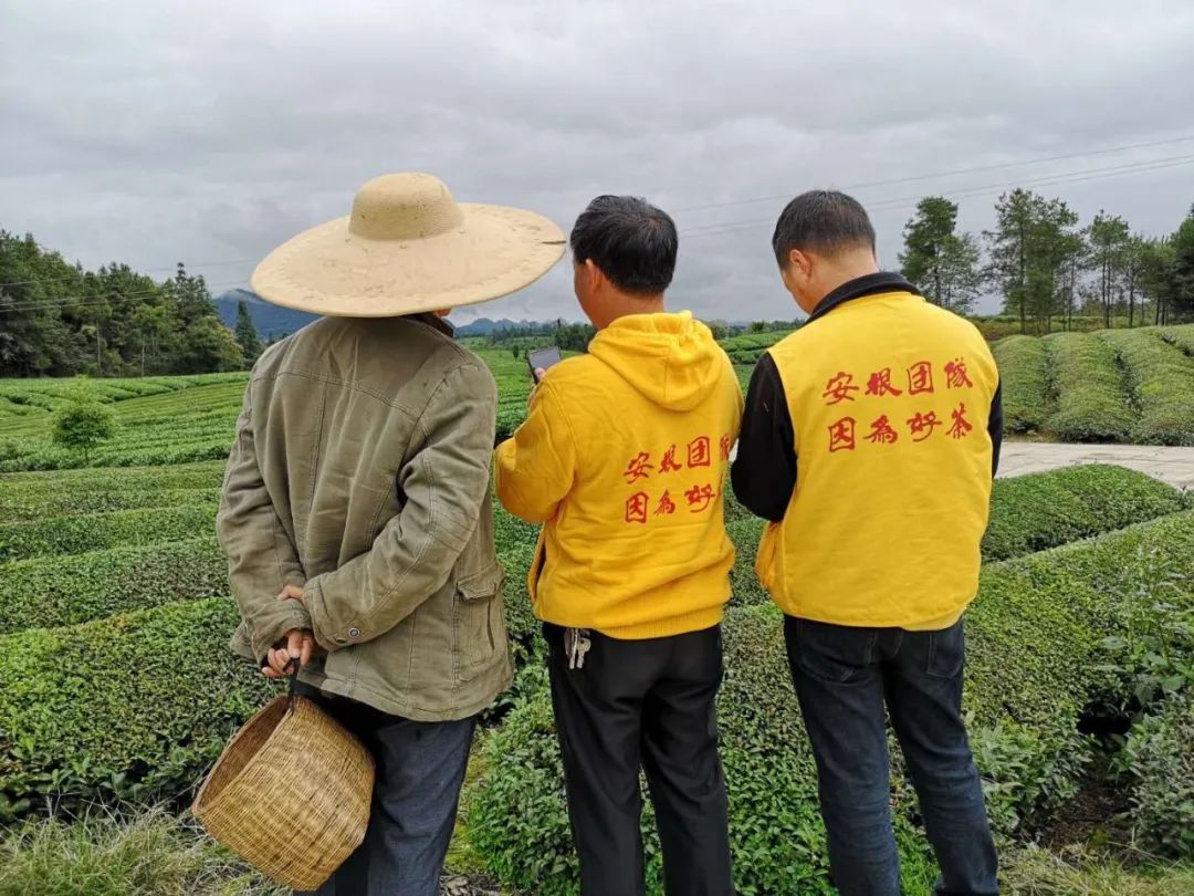 种植专业合作社有什么好处和坏处,农业合作社的危害