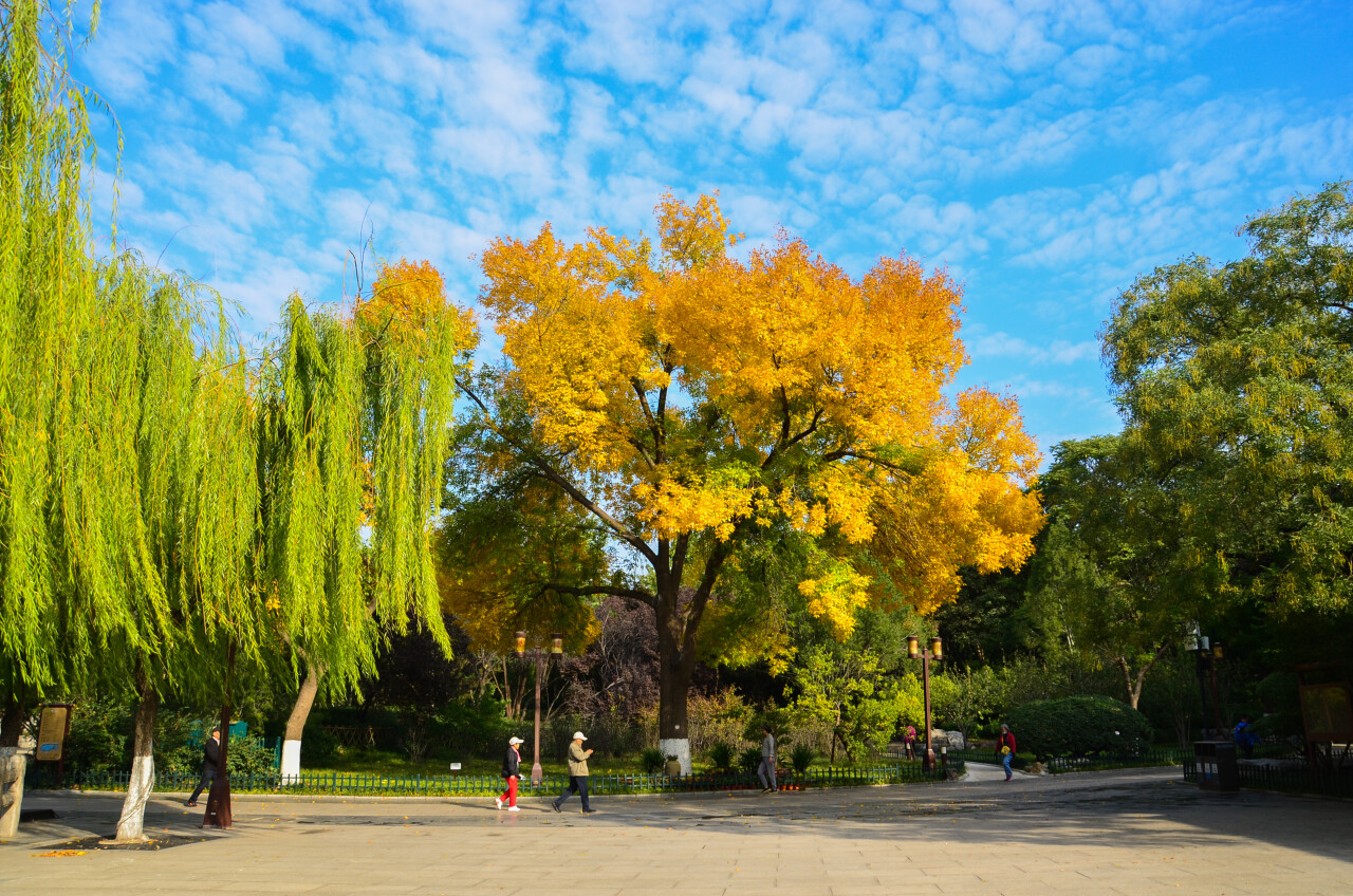 济南赏秋,秋天济南去哪里赏秋最好