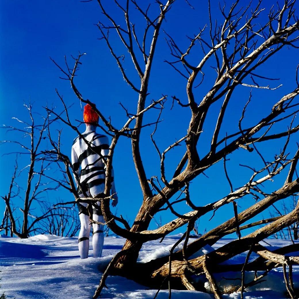 “垃圾创作”狂卖500万，网友忍不住群嘲：污染环境，这也叫艺术