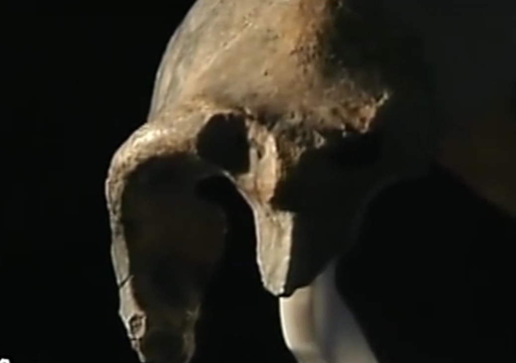 马坝人遗址的故事,马坝人复原