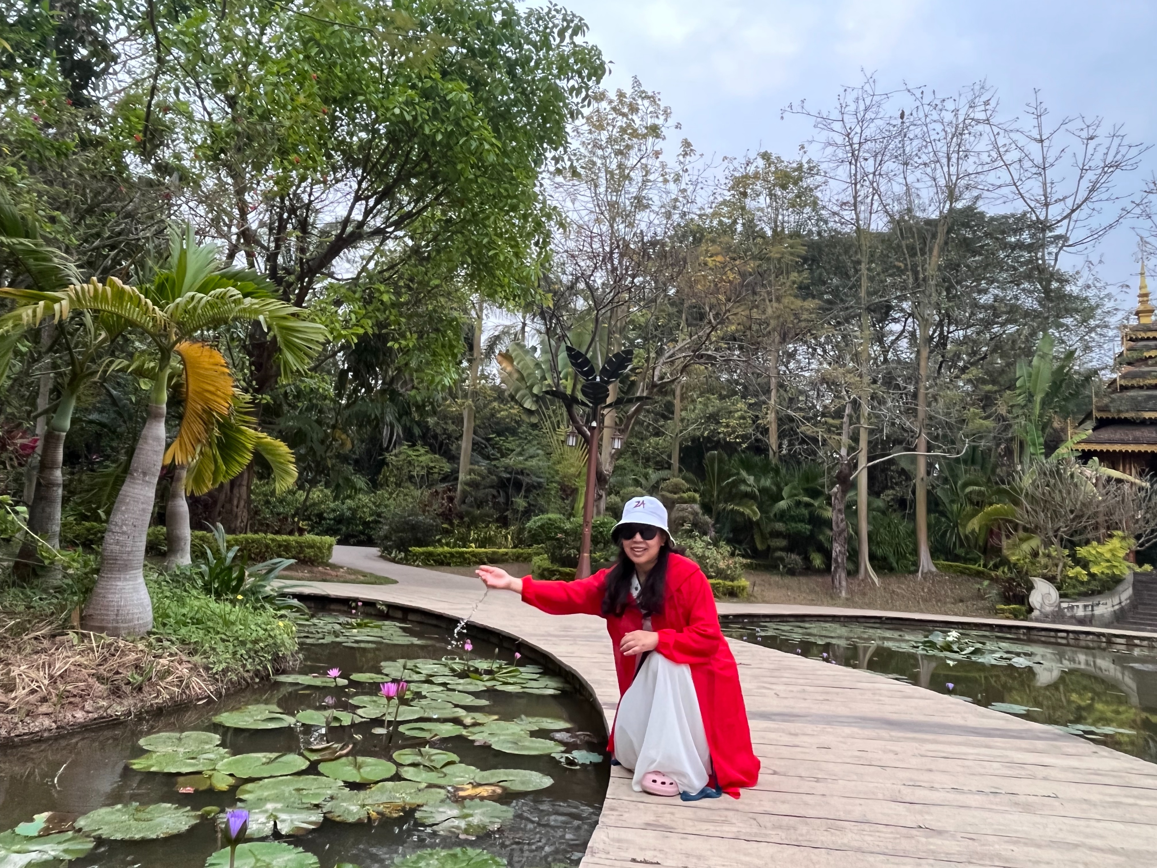 西双版纳曼听园攻略,云南西双版纳打卡曼听公园