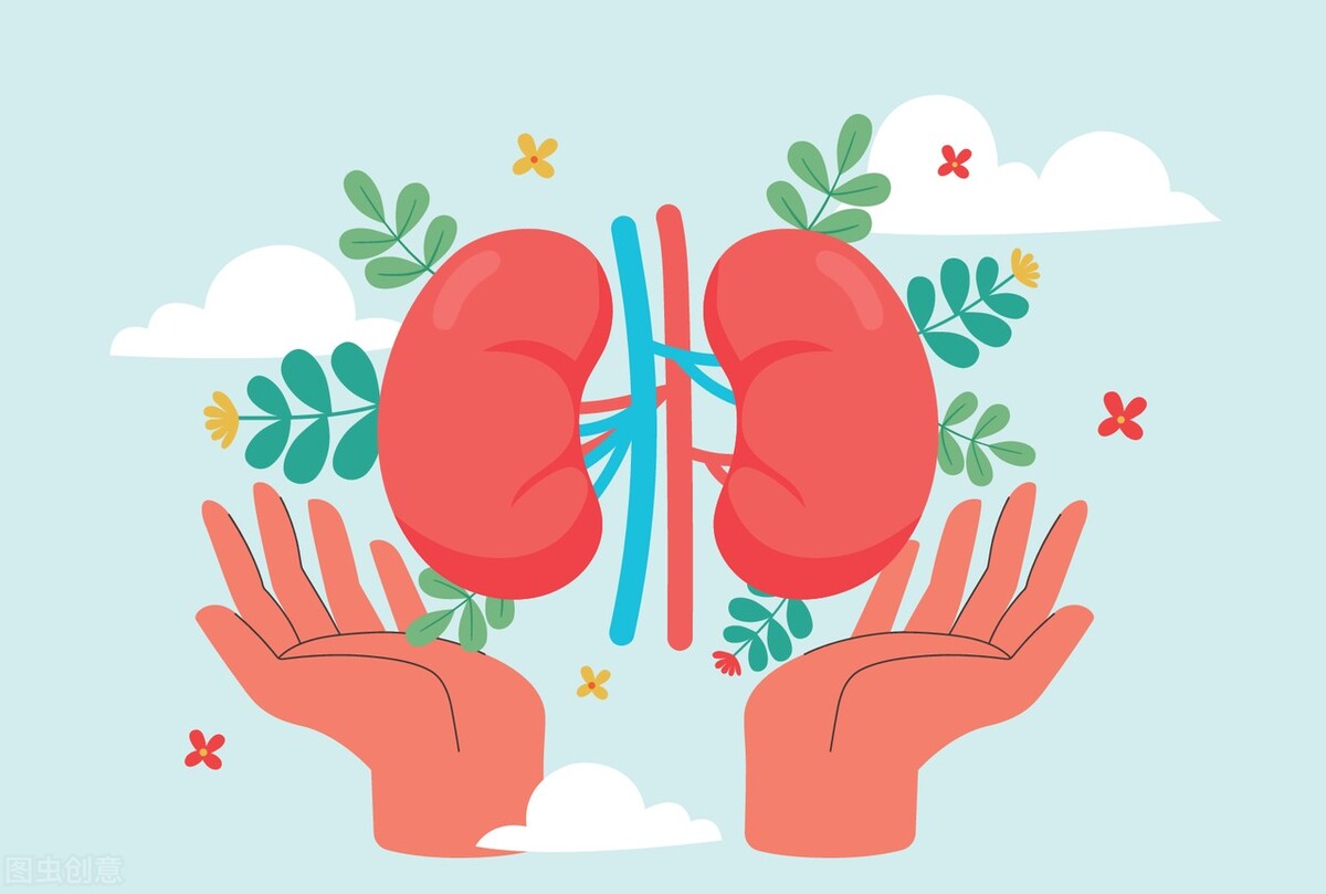 糖尿病肾病降尿蛋白中药方,糖尿病肾病降尿蛋白的药哪种最好