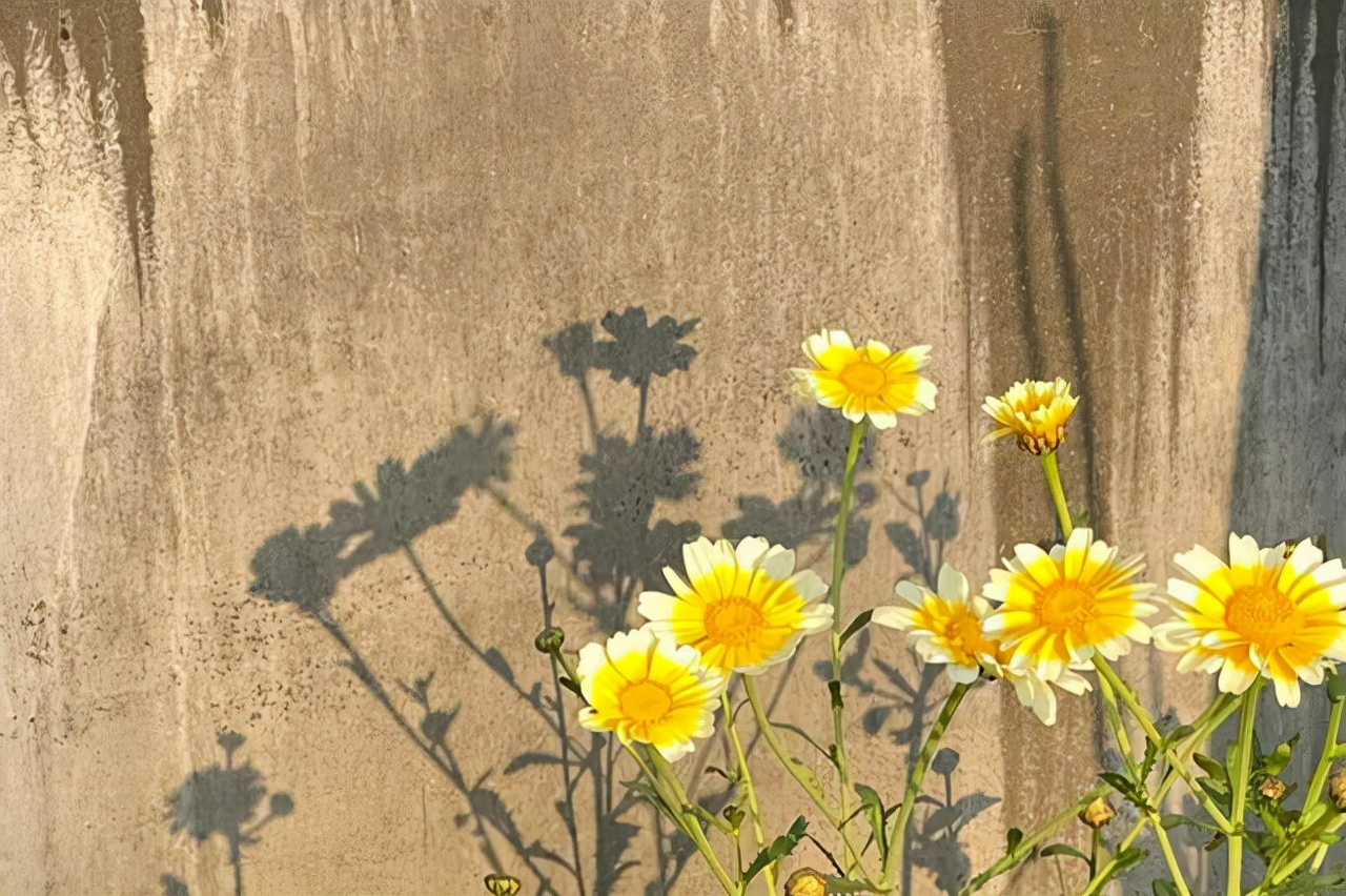 对待自己爱的女人,对待自己喜欢的人