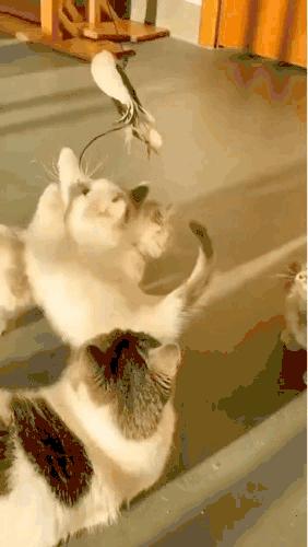 和女网友奔现靠谱吗,被女网友骗了钱怎么办