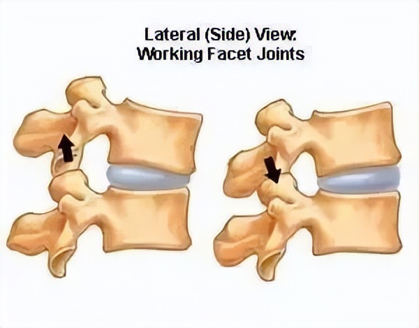 为什么会掉腰子,掉腰子是什么