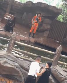 今天在老婆包里发现的,她说是治牙疼的,我觉得不像啊。