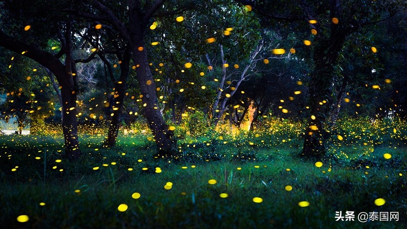 泰国假期旅游景点攻略推荐,泰国1月旅游必去十大景点