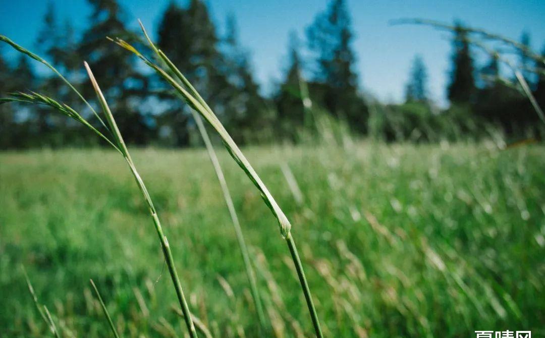 怎么对付冷漠无情的人,怎么化解自己的冷漠