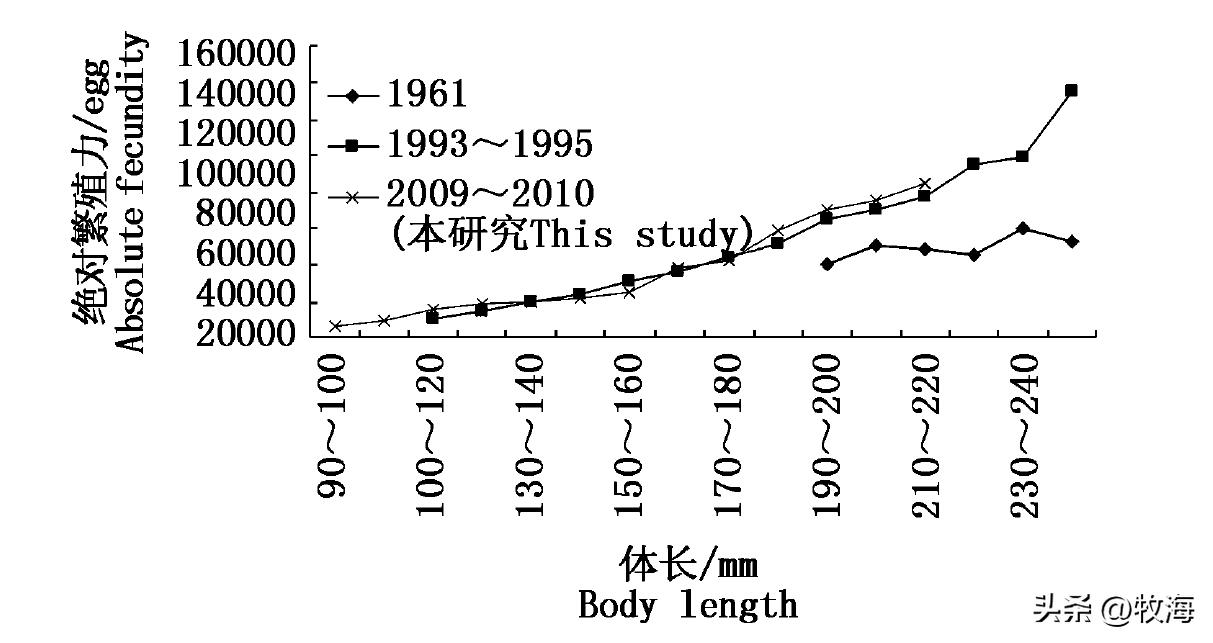 小黄鱼:专家研究70多年,中国受益最大,如今为何陷入危机?