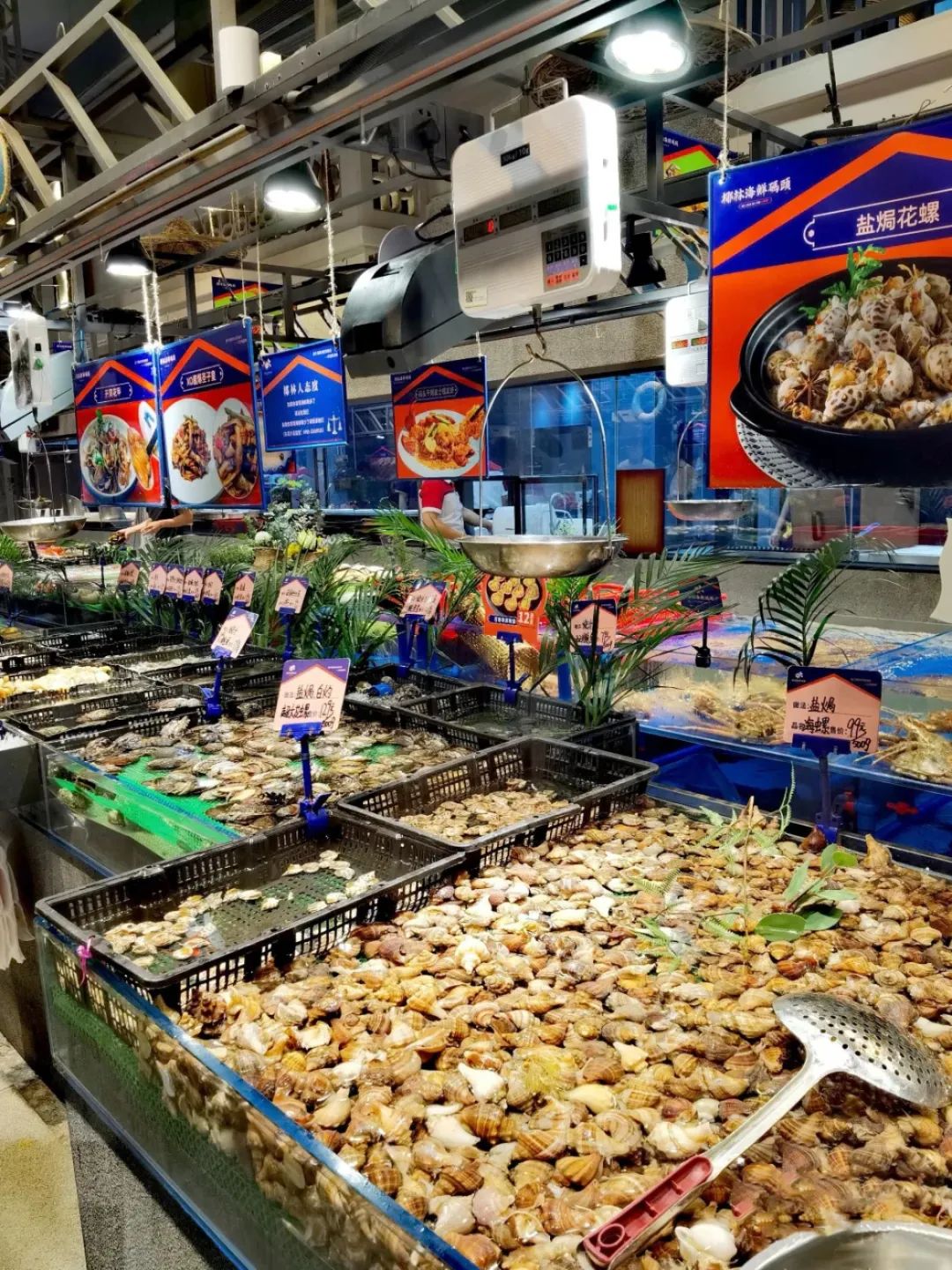 湛江、汕头之外，广东另一个被遗忘的美食之城