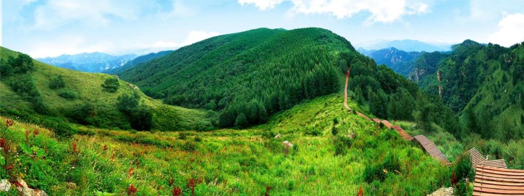 五一适合去的天然氧吧,感受天然氧吧的气息和美景