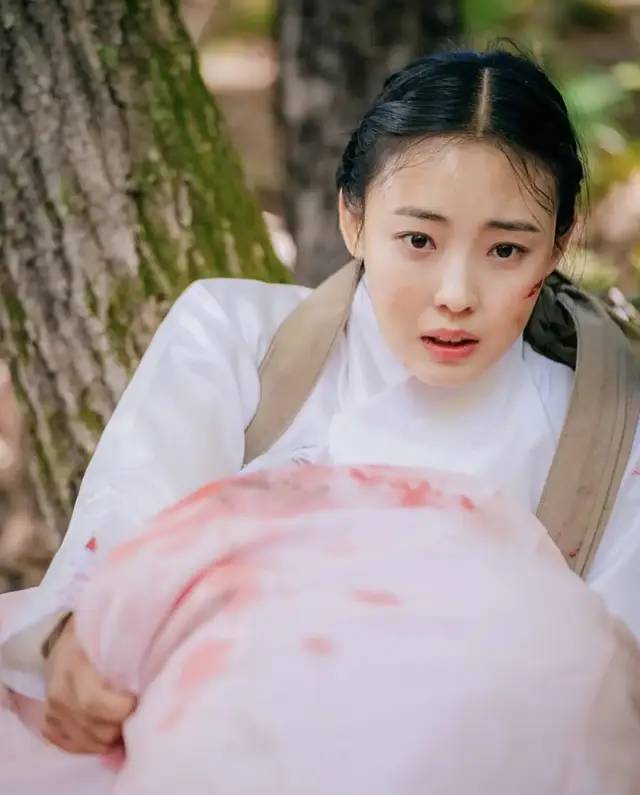 评分9.5分以上的5部韩剧,爆火韩剧5部