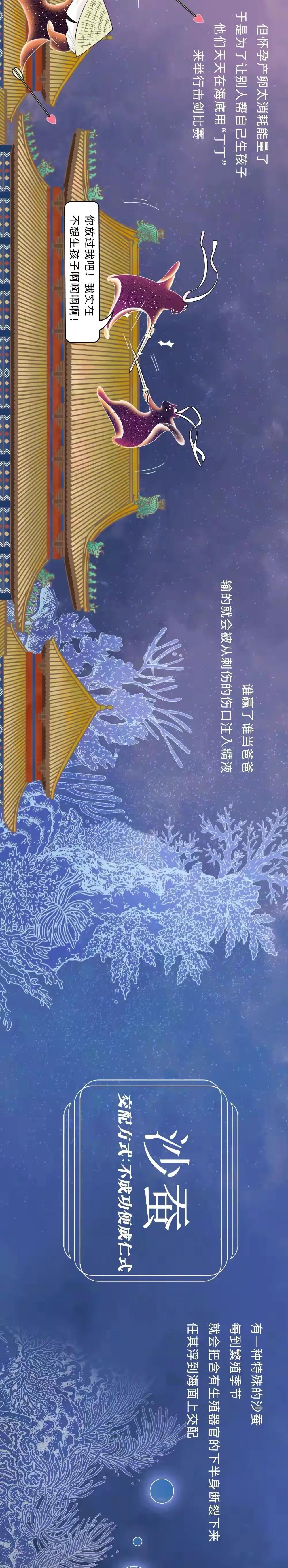 海陆空动物交配姿势对照表（严肃正经版）