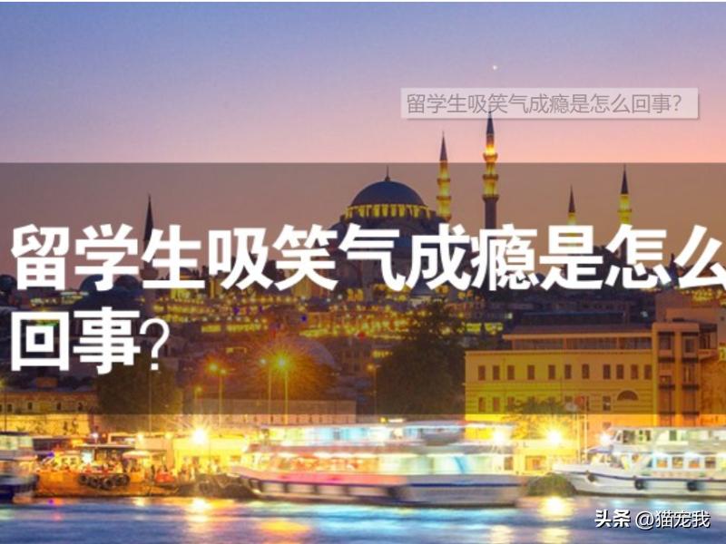 女留学生吸“笑气”上瘾后，几个月花掉60多万，只能坐轮椅出机场