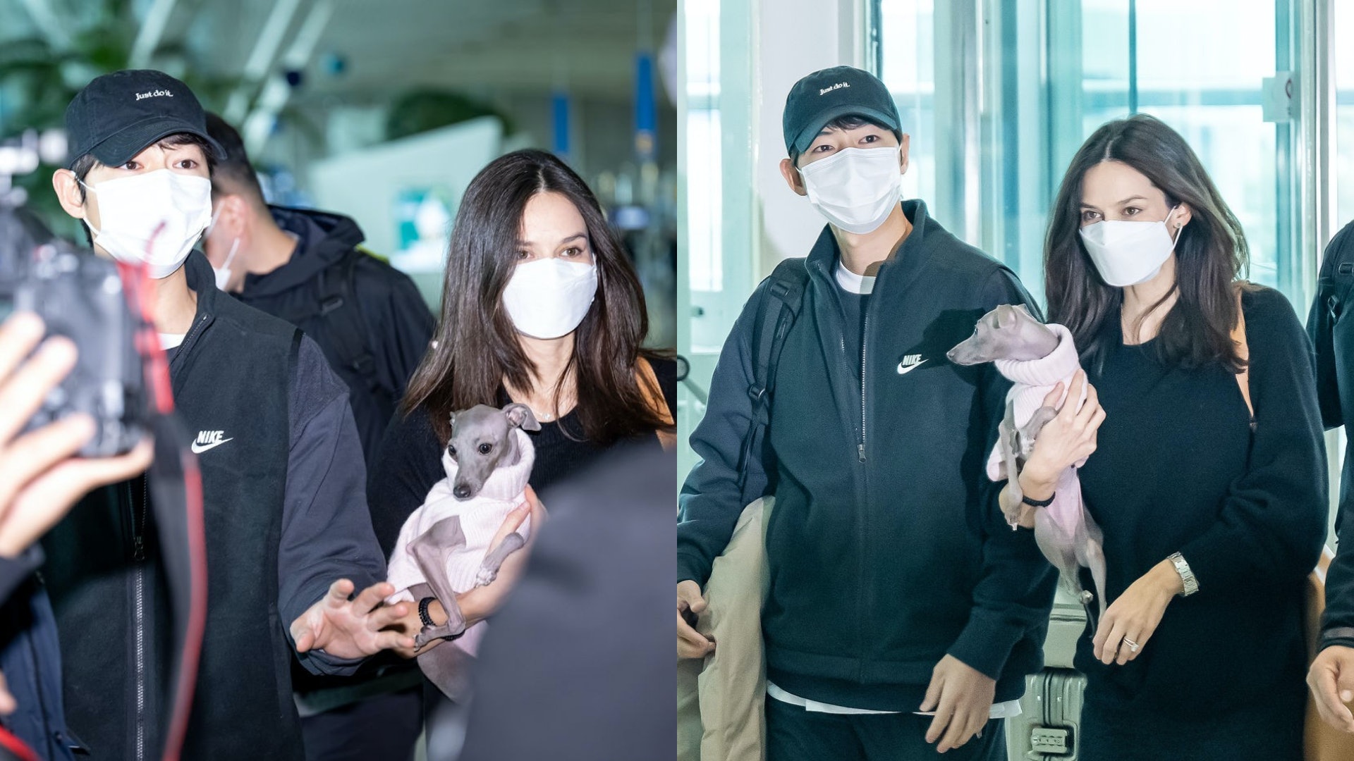 宋仲基katy夫妻相,宋仲基带妻子参加了釜山电影节吗