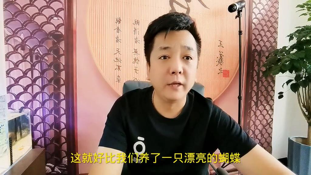 怎么走出老婆出轨背叛的痛苦,老婆背叛又不想离婚该咋办