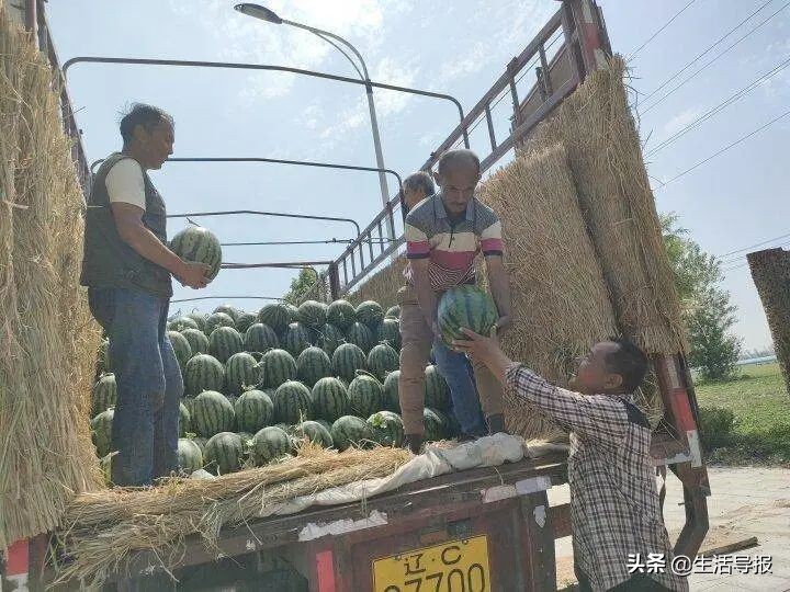 美好生活十年,美好生活最新版