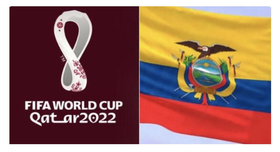 韩国队贿赂事件,卡塔尔队对厄瓜多尔