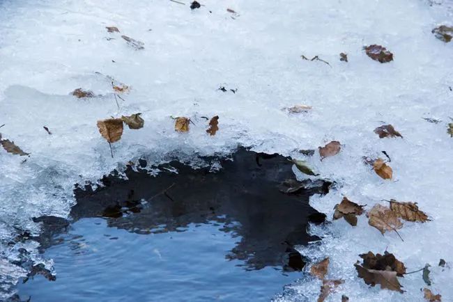 冬天寻访秦岭大峪，不但还有古道遗迹可循，还能见到这条野生广告