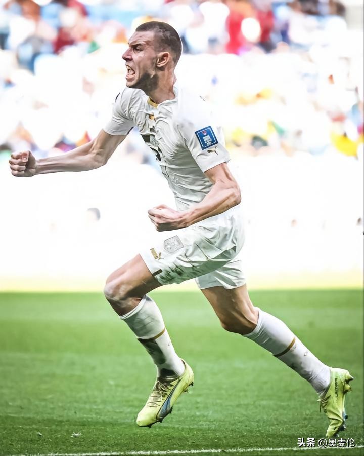 塞尔维亚足球世界杯夺冠,塞尔维亚足球世界杯名单