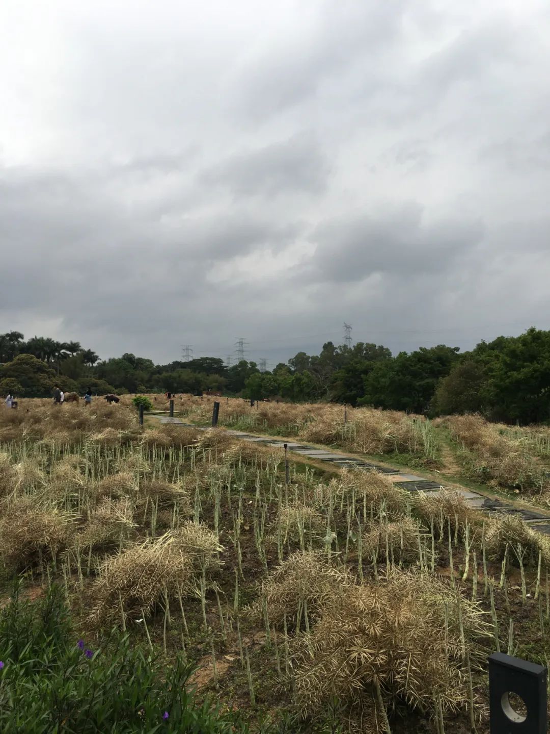 旭光电动车行,旭光车行向阳路