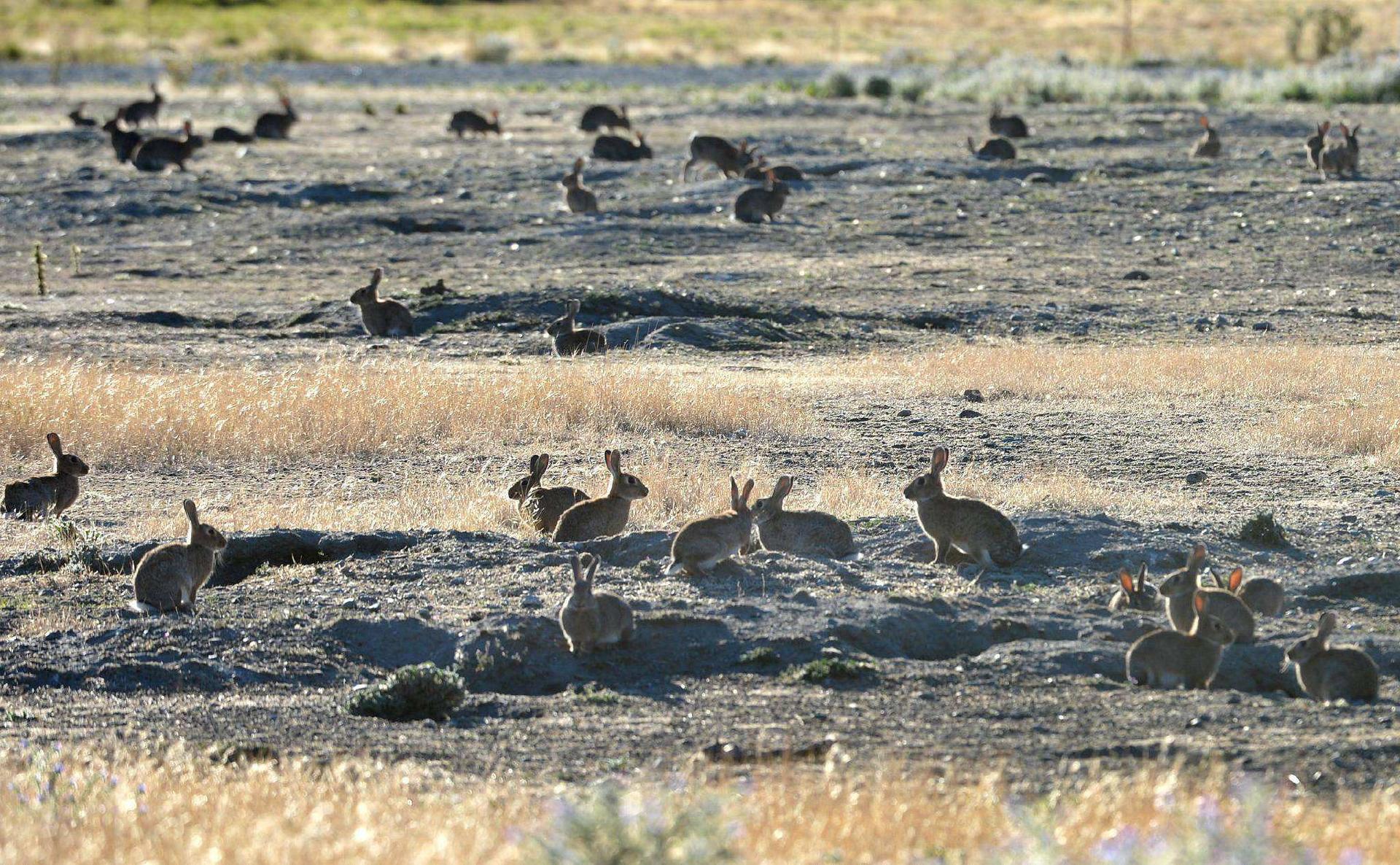 美秘密研发大杀招，美曾带走16400份安徽人血样，基因*器武**成真？