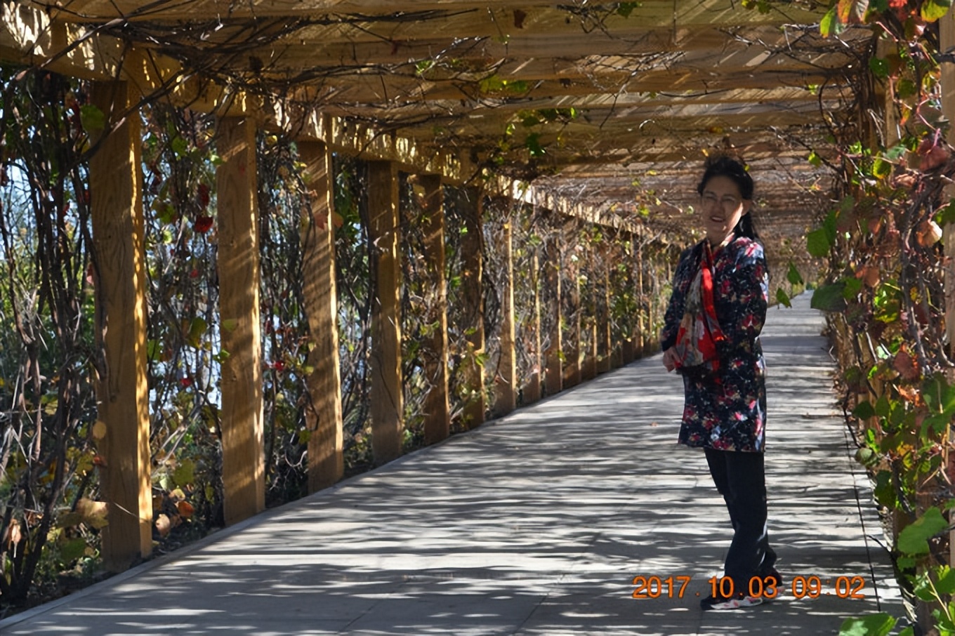 乌苏里江一日游攻略,乌苏里江全程游