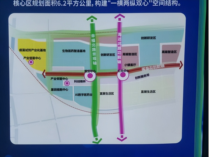 最被低估的海边城市,最被低估的滨海城市