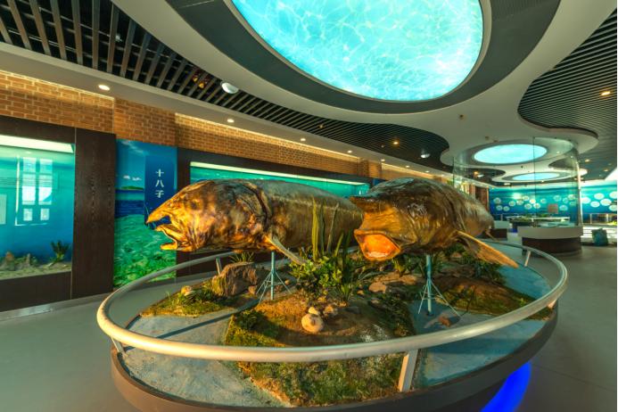 【黑龙江省夏季避暑旅游“百日行动”】佳木斯“华夏东极,美丽三江”研学游精品线路