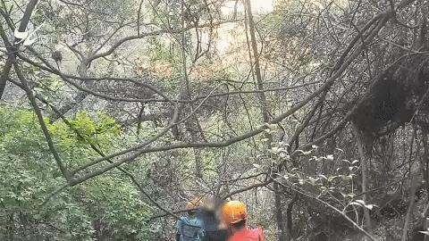 紧急提醒！厦门5天连发3起，千万注意！