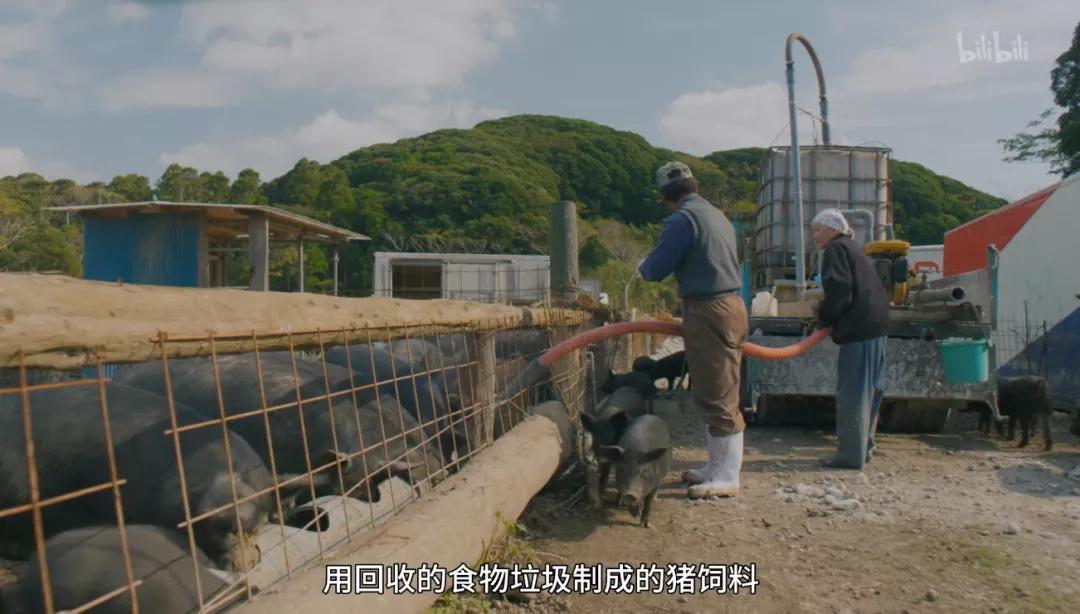 最后一部良心之作,一部真正良心之作全程毫无尿点