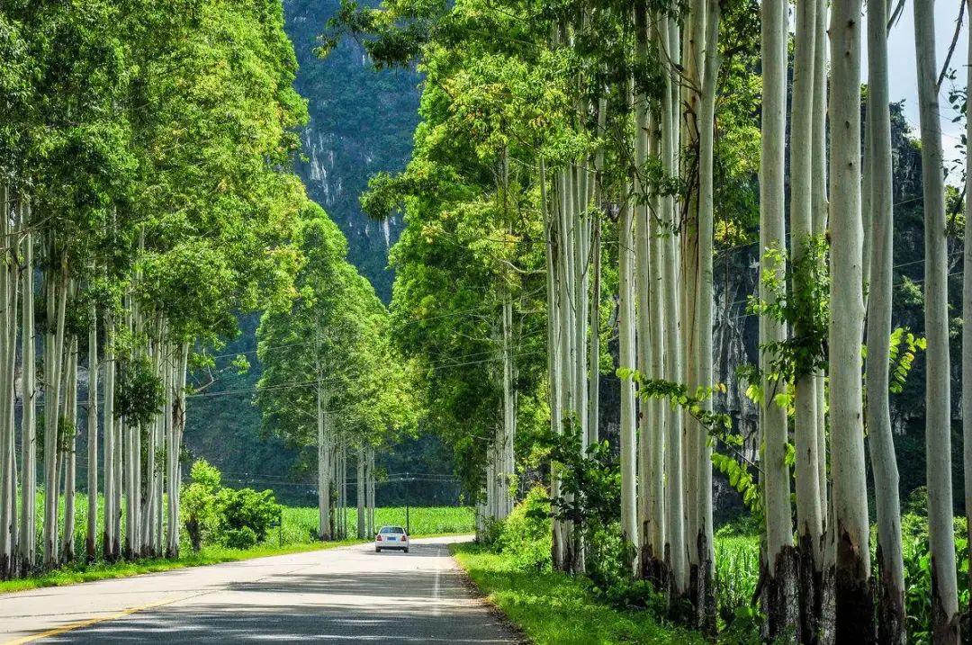 北仑疫情还回得了家吗,北仑疫情出不去了么