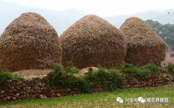 郭进拴,郭进拴最新演讲