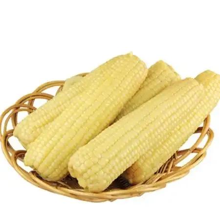 喜欢吃玉米饭的千万别错过,最好吃的玉米产地