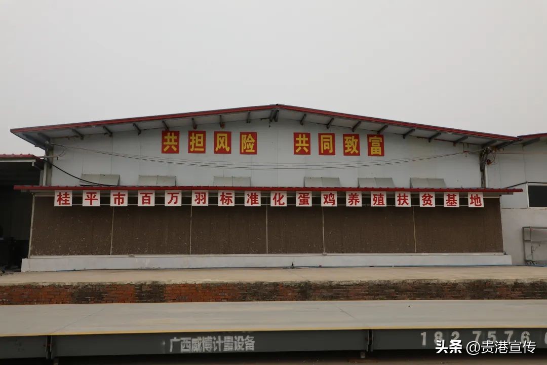 有机生态农场招商,有机生态农业赚钱吗