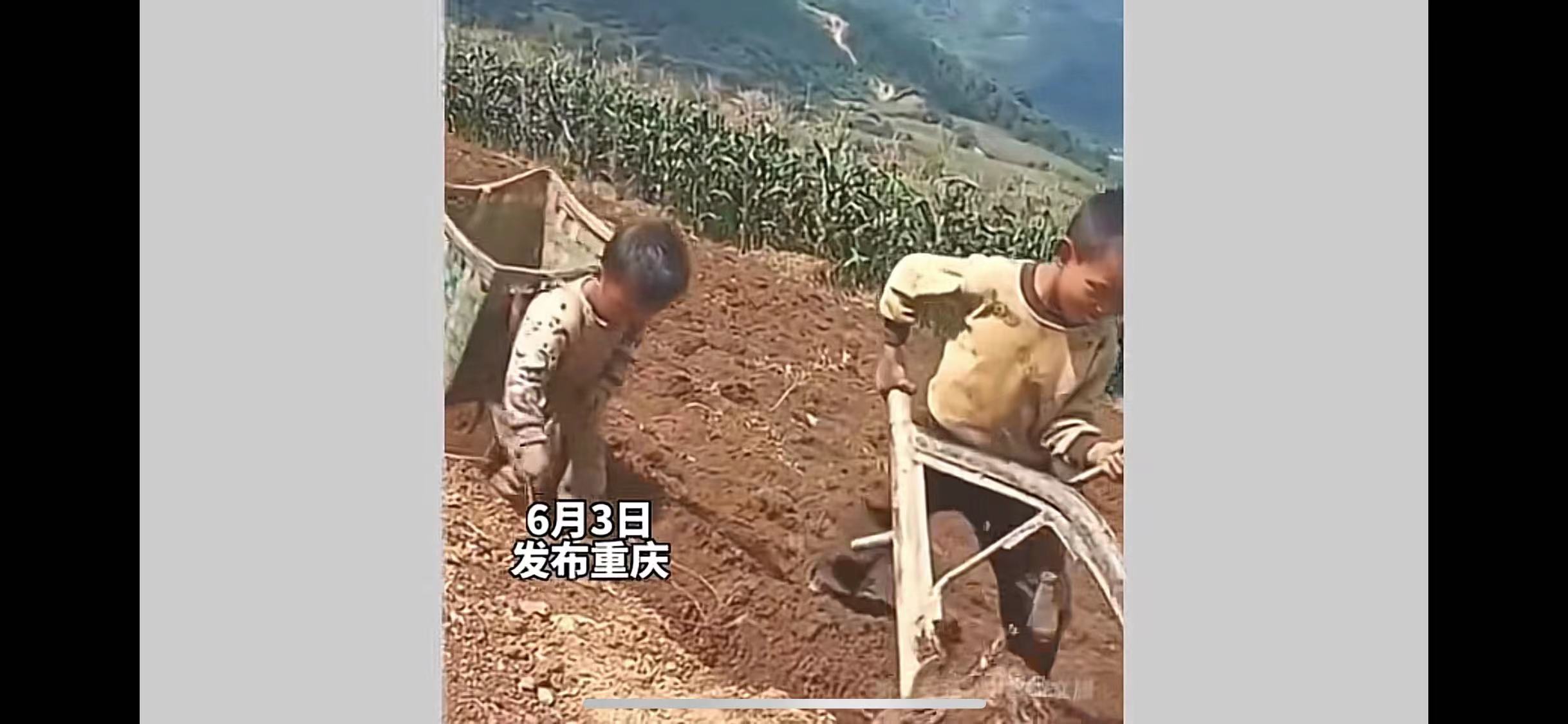 重庆3名小男孩种地，一人牵牛，一人扶犁，场面令人心疼