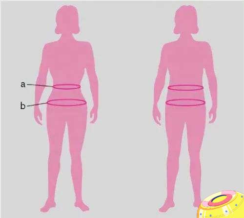 屁股小和屁股大哪个好,屁股大的和屁股小的有什么区别