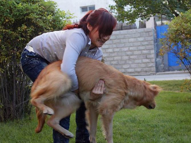 对狗狗好的十大食物,对狗狗致命的蔬菜有哪些