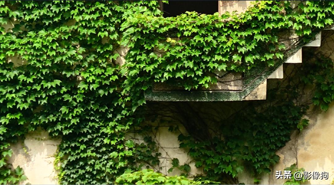 索尼xperia1v视频测评,索尼xperia1v深度测评