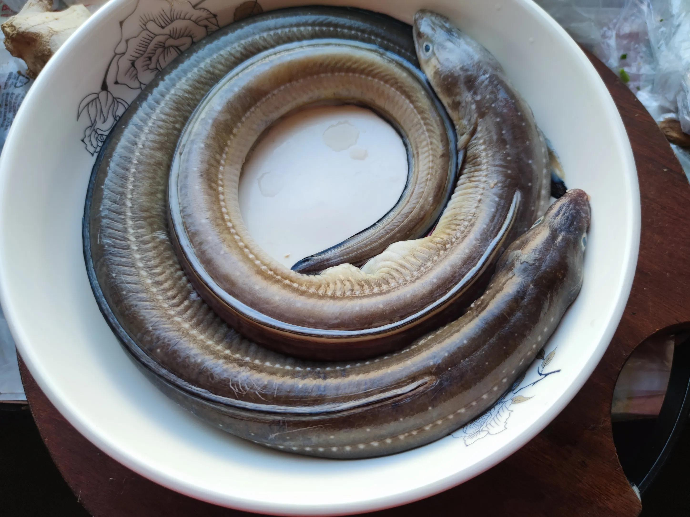 海鱼最好吃排名前十名,偏甜的海鱼哪几种