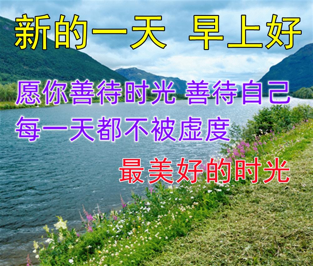 最新漂亮早上好问候图片鲜花带字,2023早上好问候语