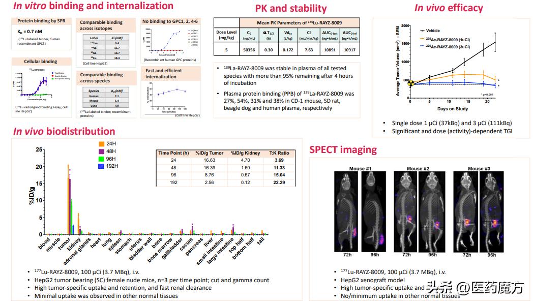 艾博兹医药：硬“核”创新，引领靶向治疗新篇章