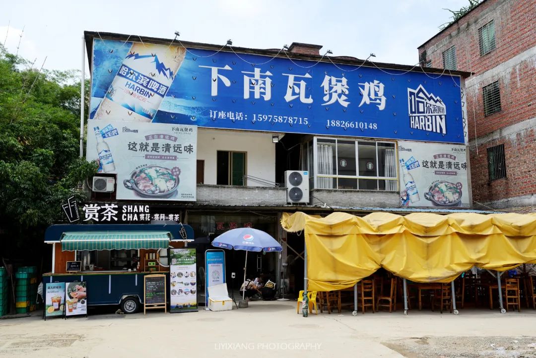 清远鸡什么地方最好,清远鸡冷知识