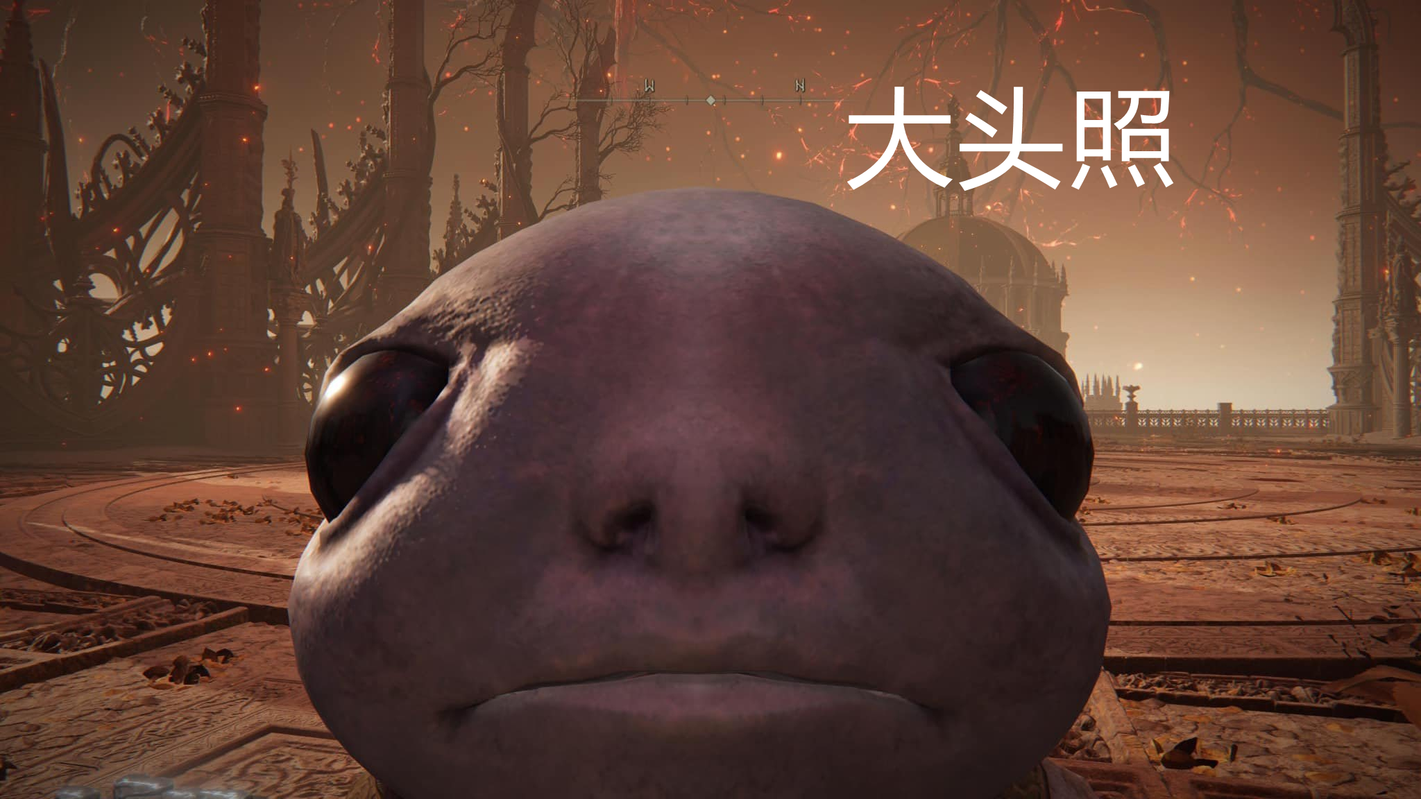 艾尔登法环豪华版有dlc吗,艾尔登法环dlc地图比本体还大吗